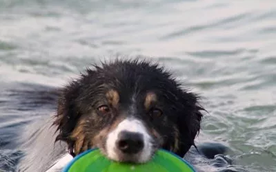 "Battesimo" dell’acqua!