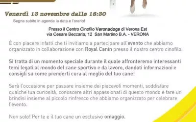 Un evento creato per voi!