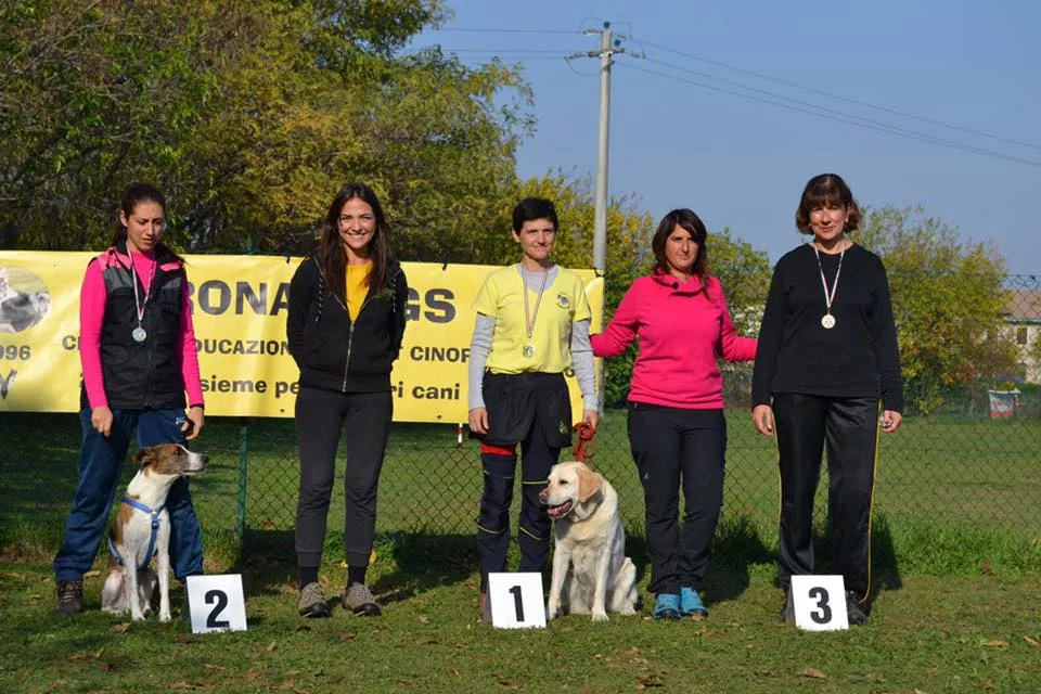 Gara di Rally Obedience 01/11/2017