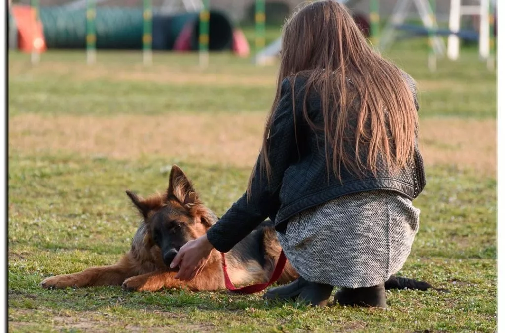 Addestramento cani Covid-19: Verona Dogs ha riaperto in tutta sicurezza