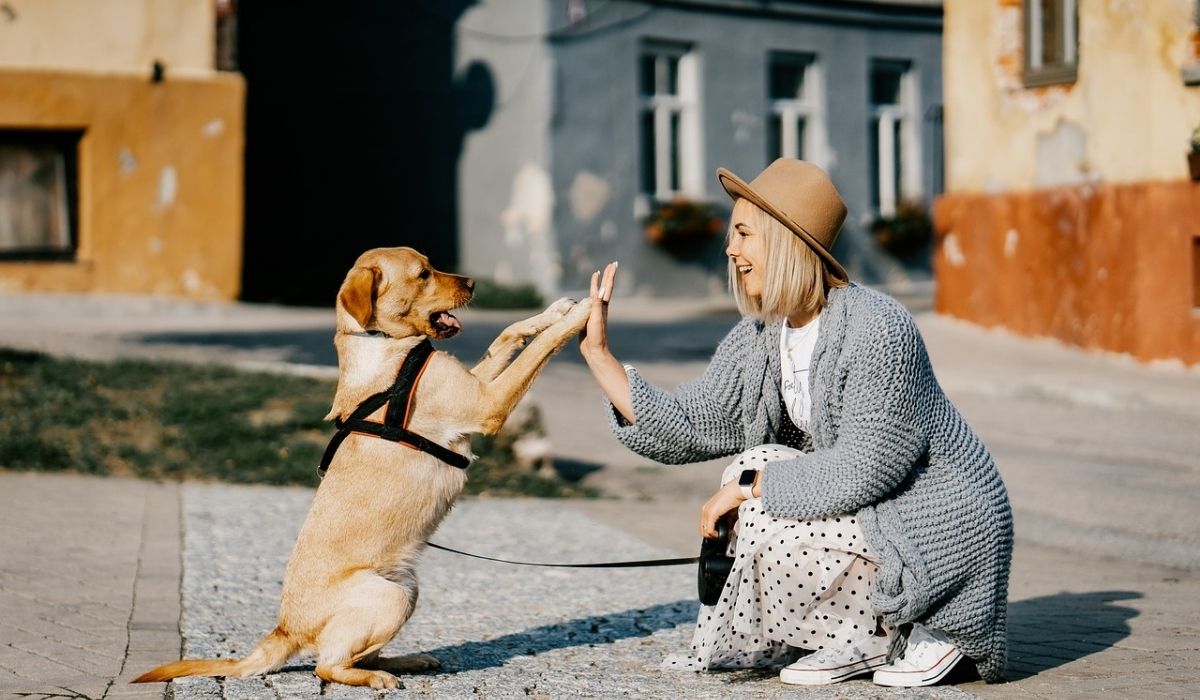 veronadogs - una ragazza si relaziona con un cane