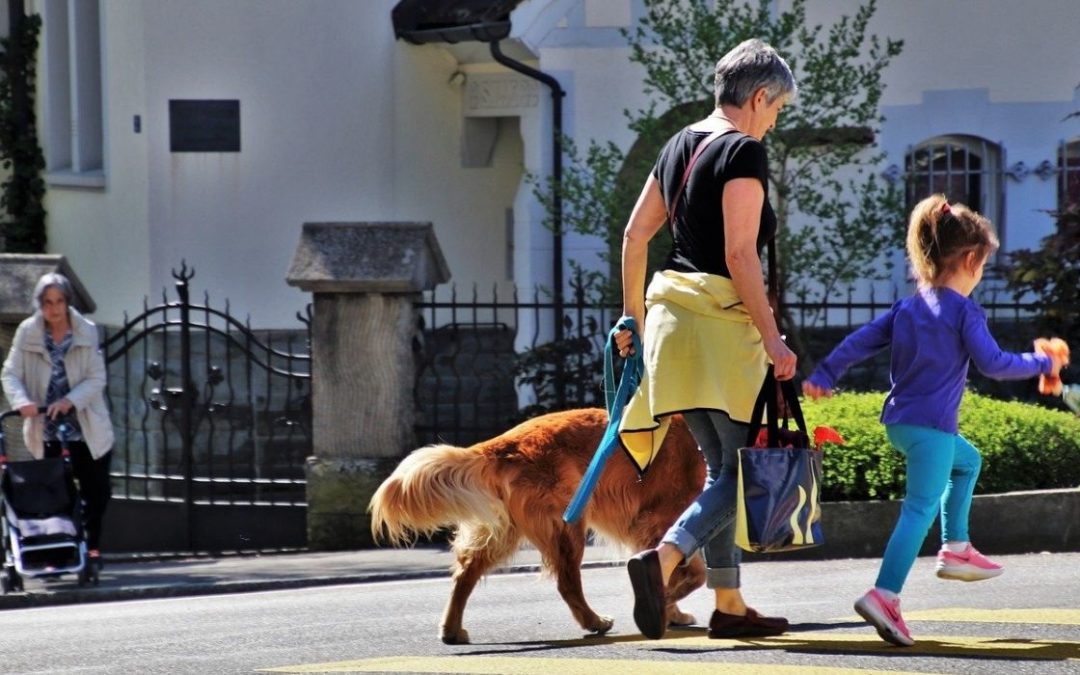 cane parte di un gruppo