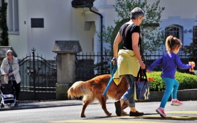 Consigli per far sentire il cane parte di un gruppo